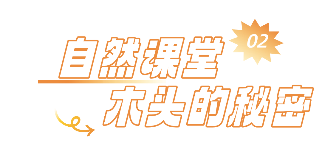 1764556417845154.png 640 (1).png